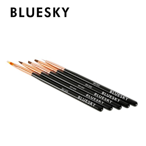 Set 5 Pinceles Bluesky